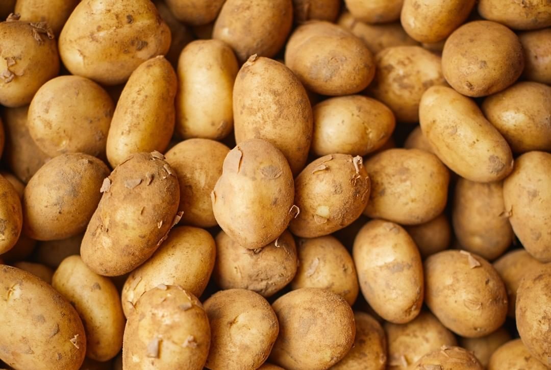 345695126_172111065485625_6810657403831913689_n