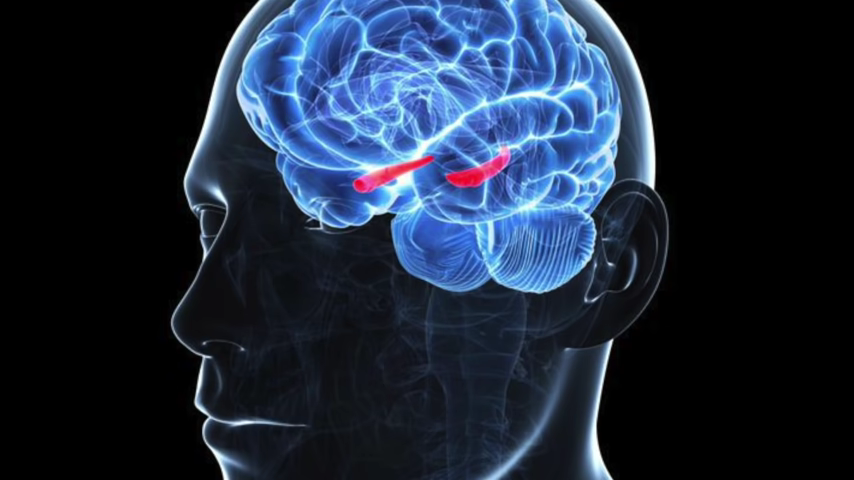 925-fix-your-short-term-memory-loss-hippocampus-repair-dr-berg-00-00-29