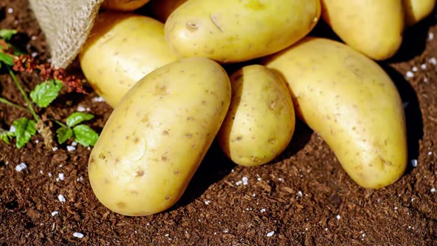 933-10-benefits-of-potatoes-health-and-nutrition-00-00-30