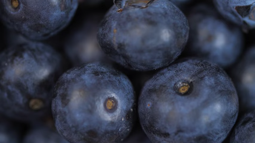 933-health-benefits-of-blueberries-nutrition-of-blueberries-00-00-00