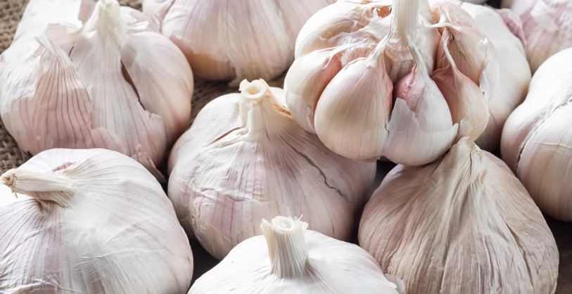 933-what-happens-to-your-body-when-you-eat-garlic-every-day-00-00-37
