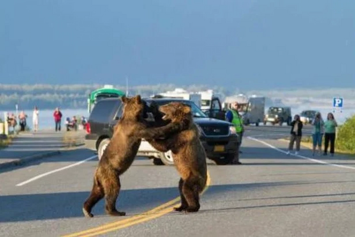 alaska-imgur