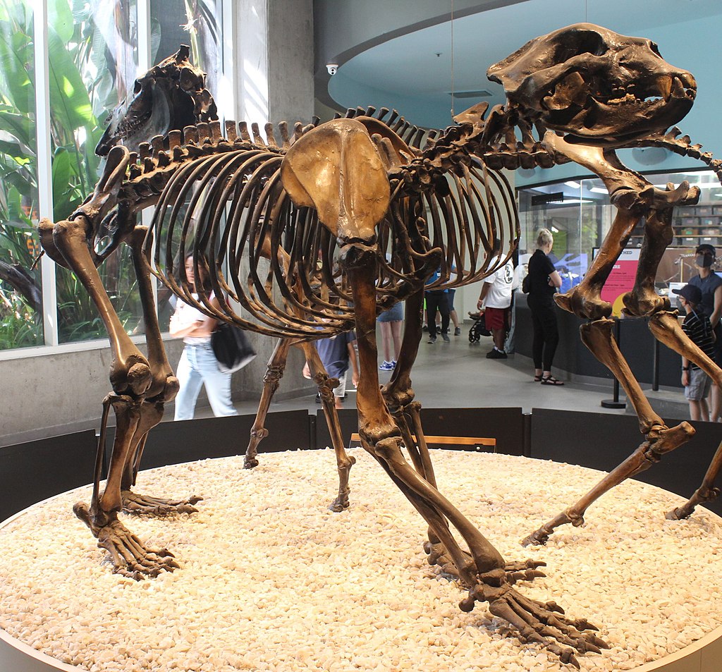 arctodus_simus_page