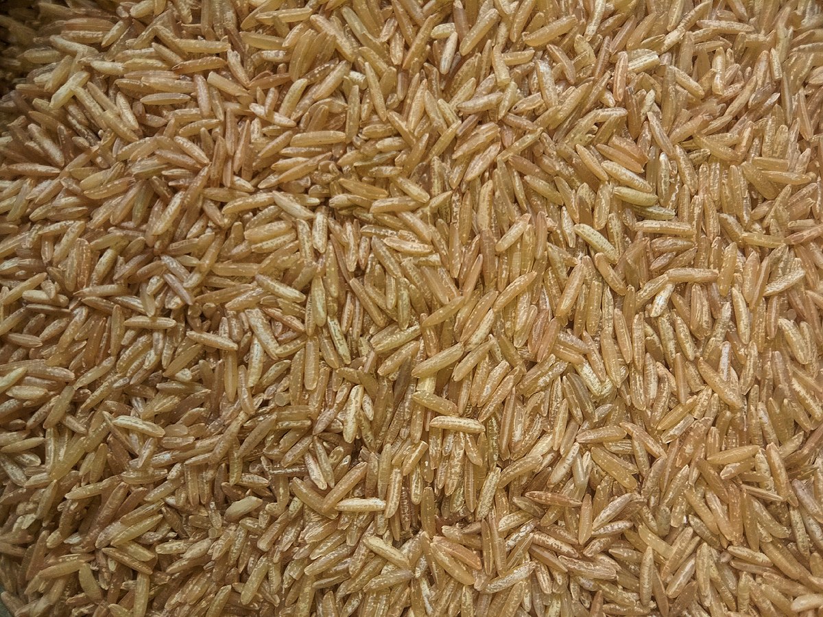 brown_rice_whole_grain_rice_photographed_in_west_bengal_india