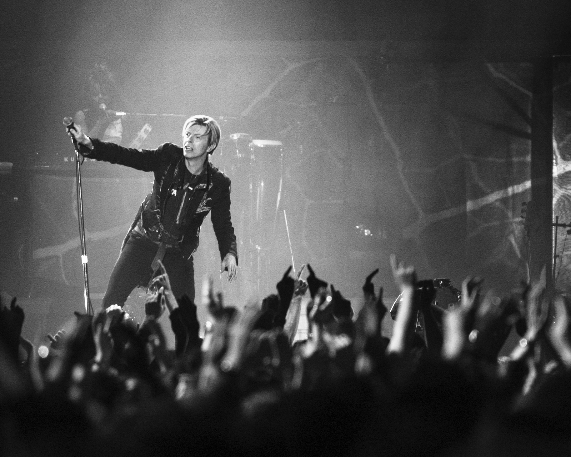 bowie