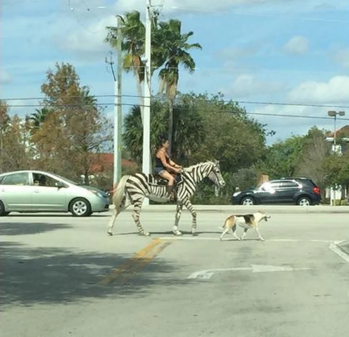 florida-imgur