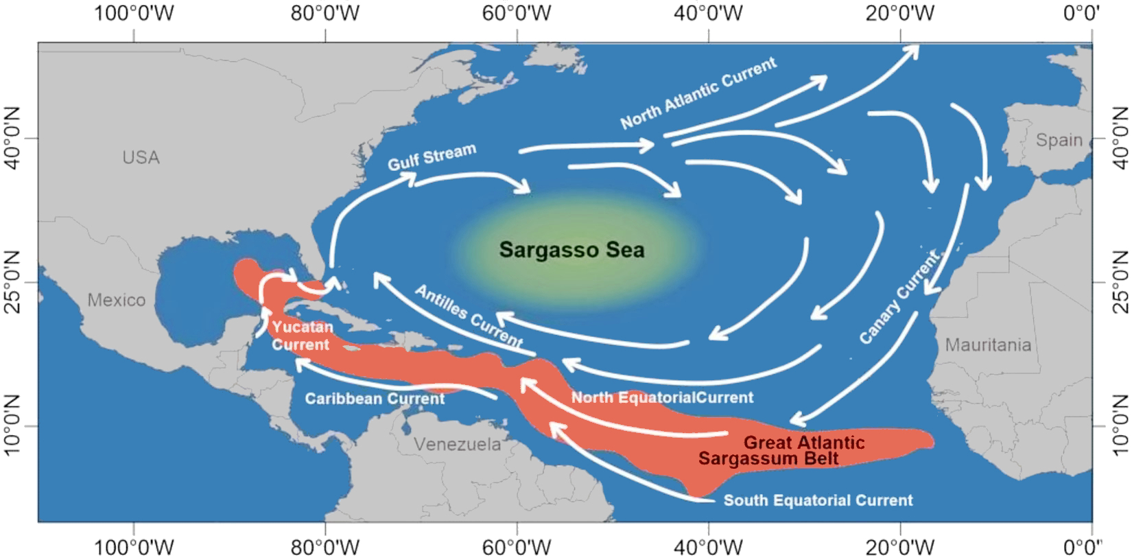 great_atlantic_sargassum_belt_2