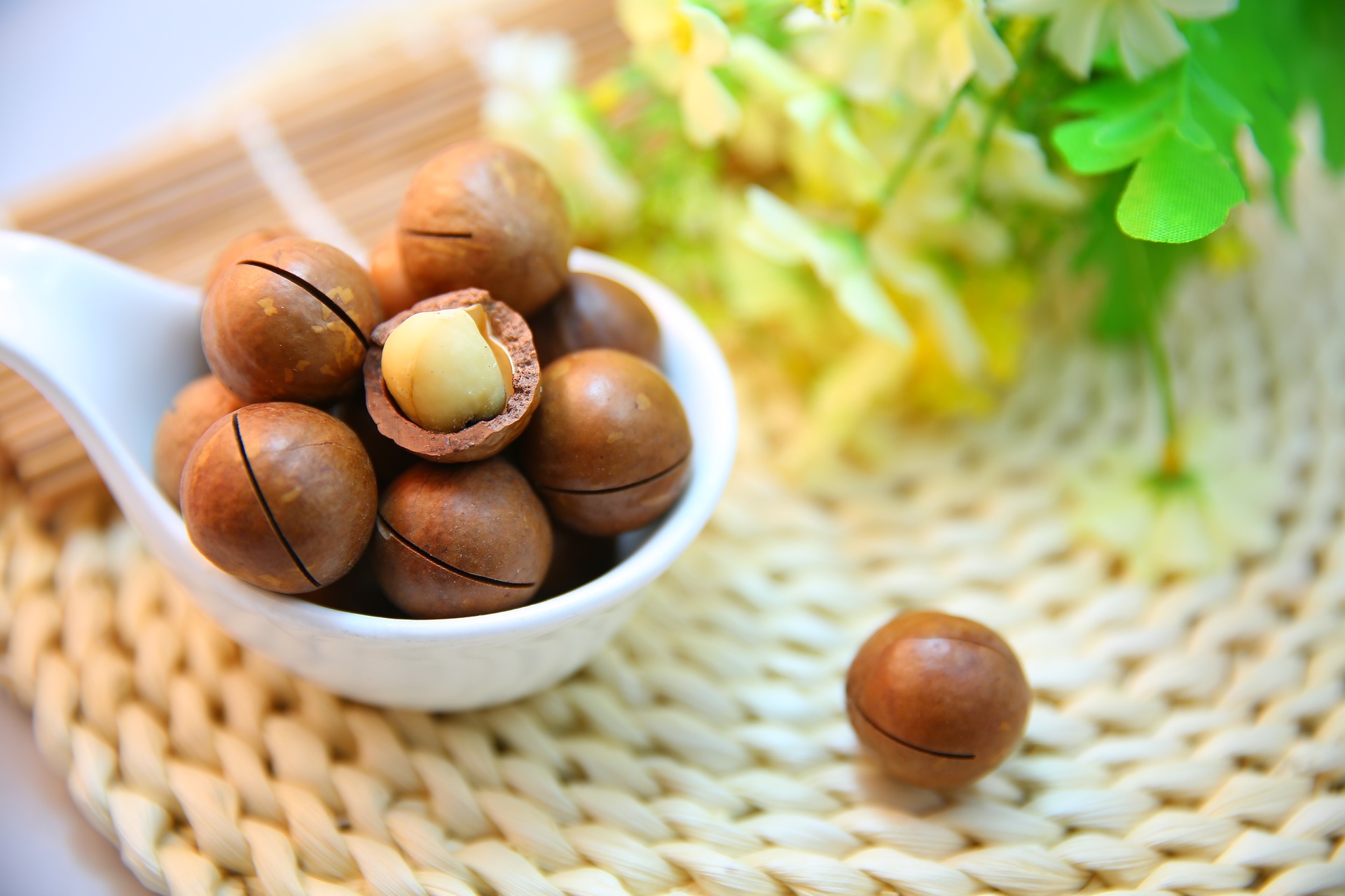 macadamia_nuts_with_one_cracked_and_exposing_the_nut