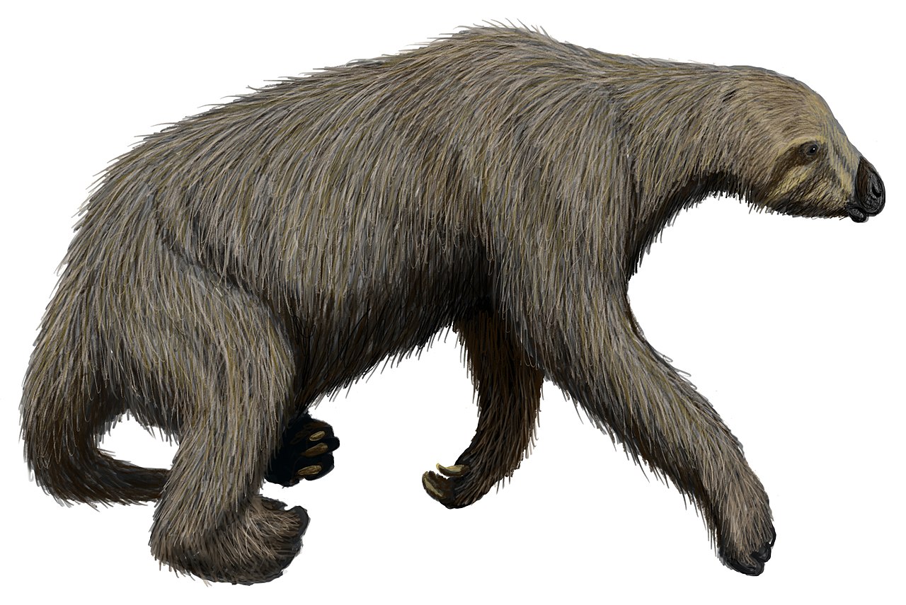 nothrotheriops_shastensis