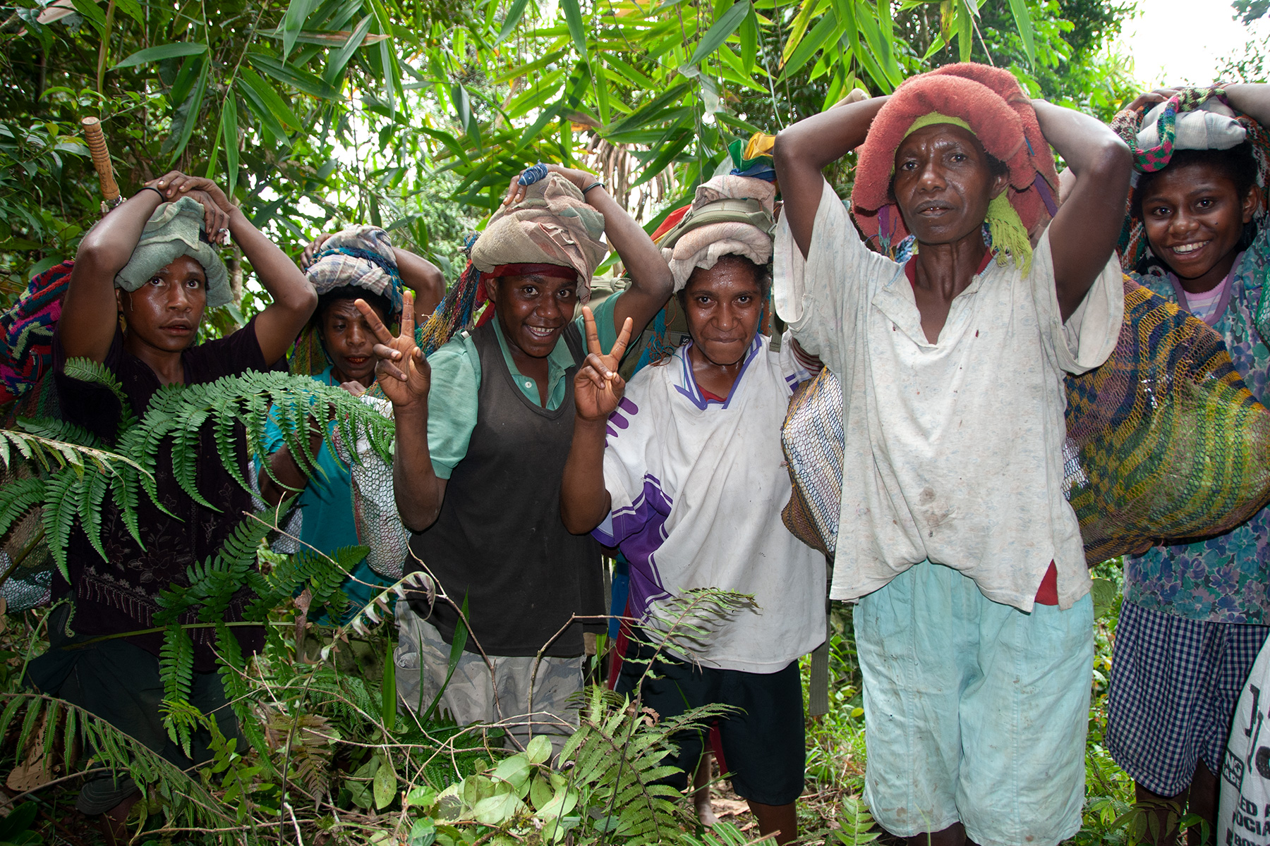 residents-from-indagen-village-helping-the-expedition-team-to-field-camp-in-the-cromwell-mountains-of-papua-new-guinea-credit-rbg-kew