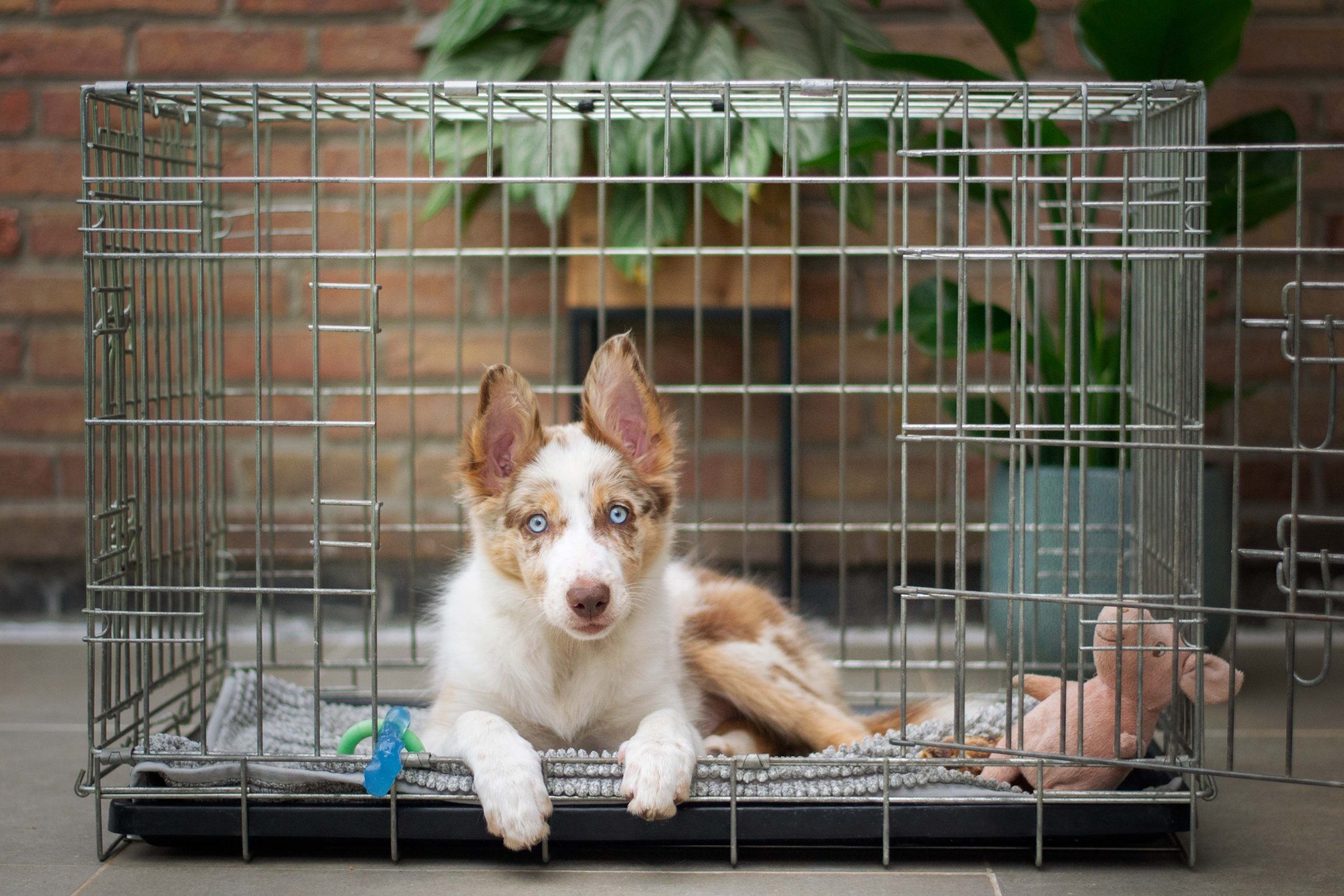 ayla-verschueren-qvbg3-tznyc-unsplash