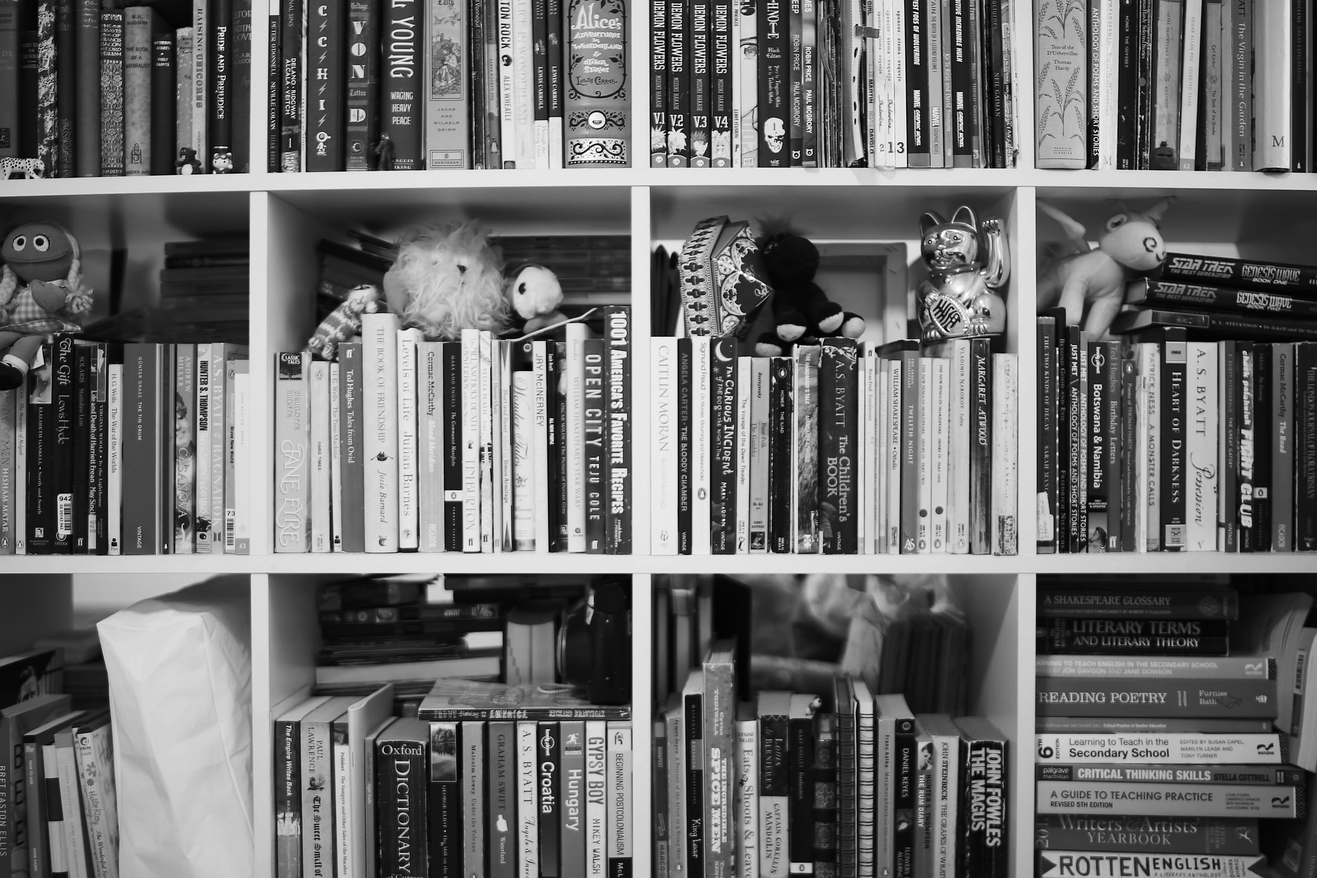 books-672078_1920