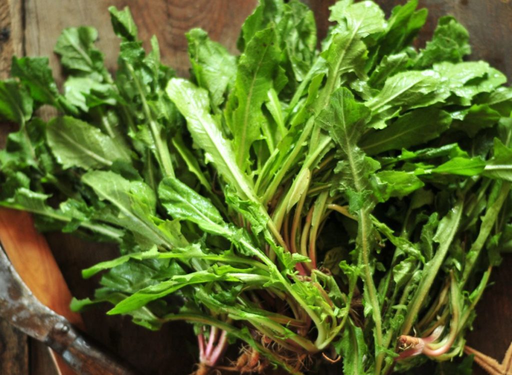 dandelion-greens