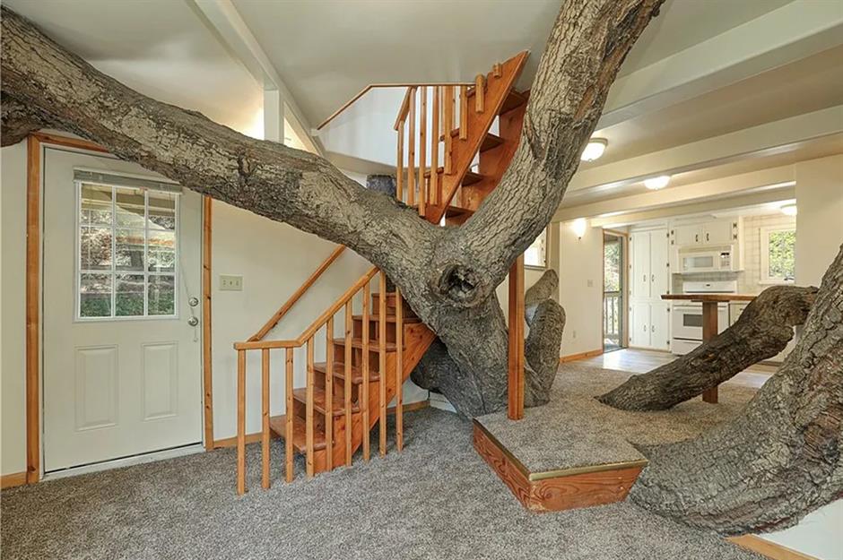 e58916f0-be36-48d5-88dd-d1dcae10a1b5-epic-design-fails-tree-house