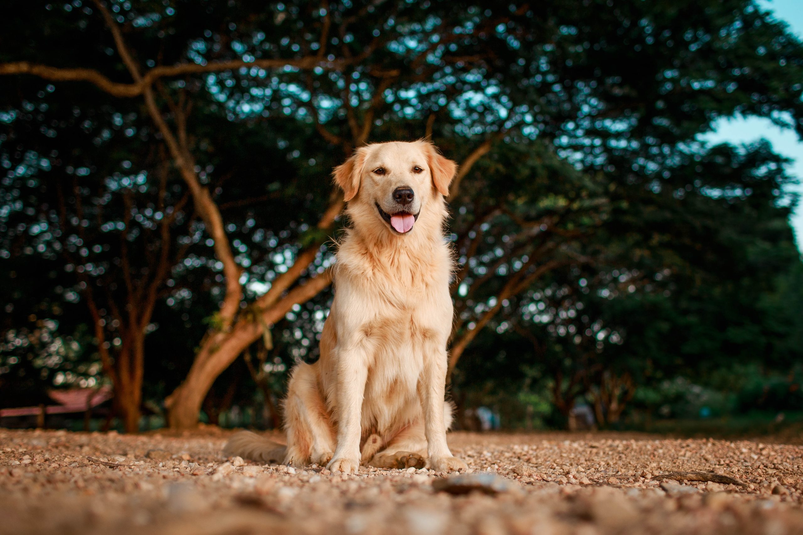 helena-lopes-uemlniwlrle-unsplash