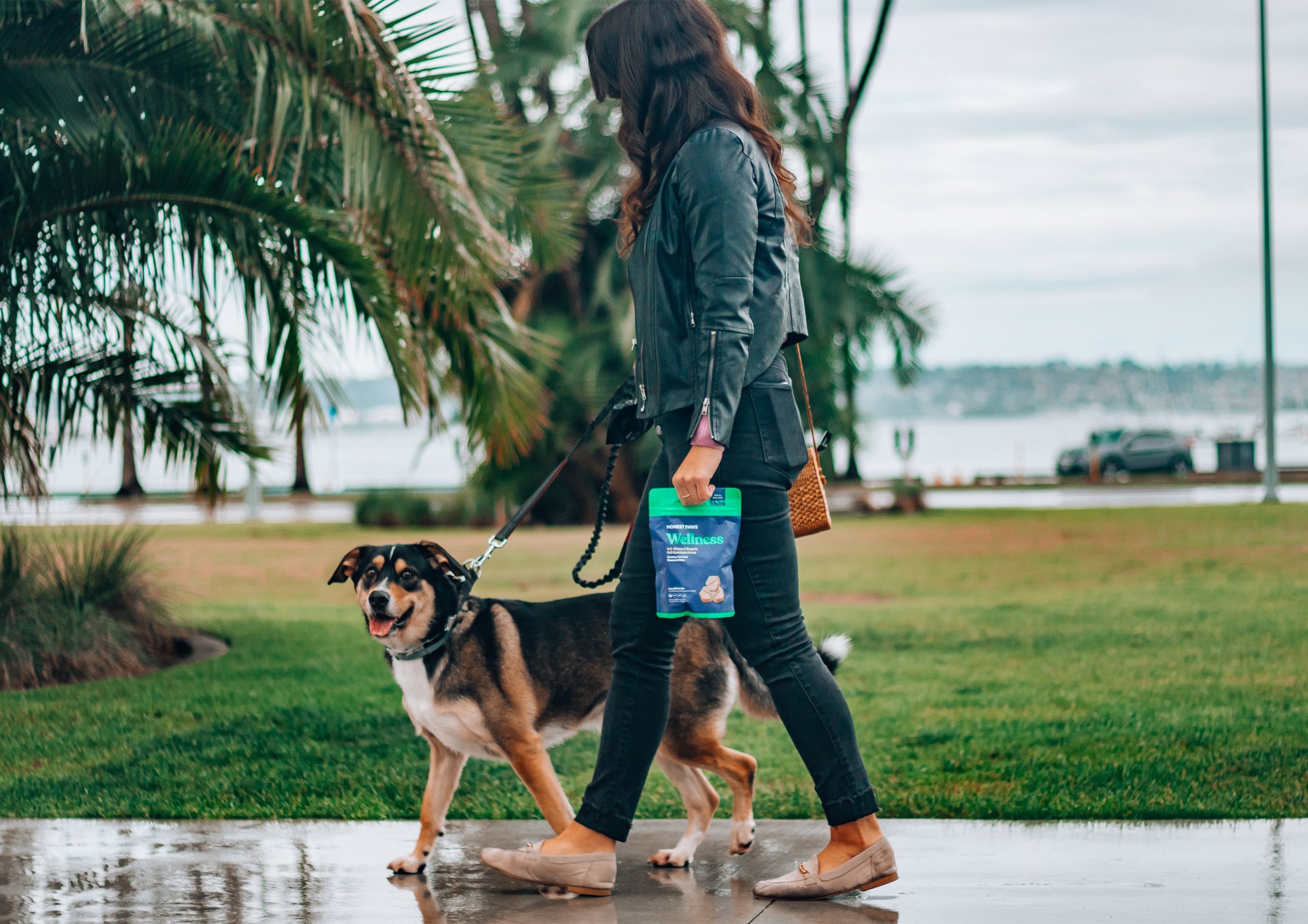 honest-paws-j2c_lqmx1am-unsplash