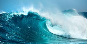 istockphoto-104669275-612x612