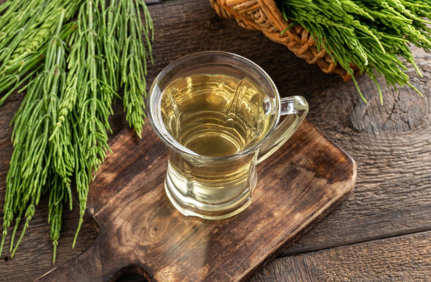 a-cup-of-herbal-tea-with-fresh-horesetail-plant