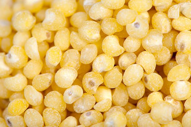 millet-groats-brightly-lit-close-up