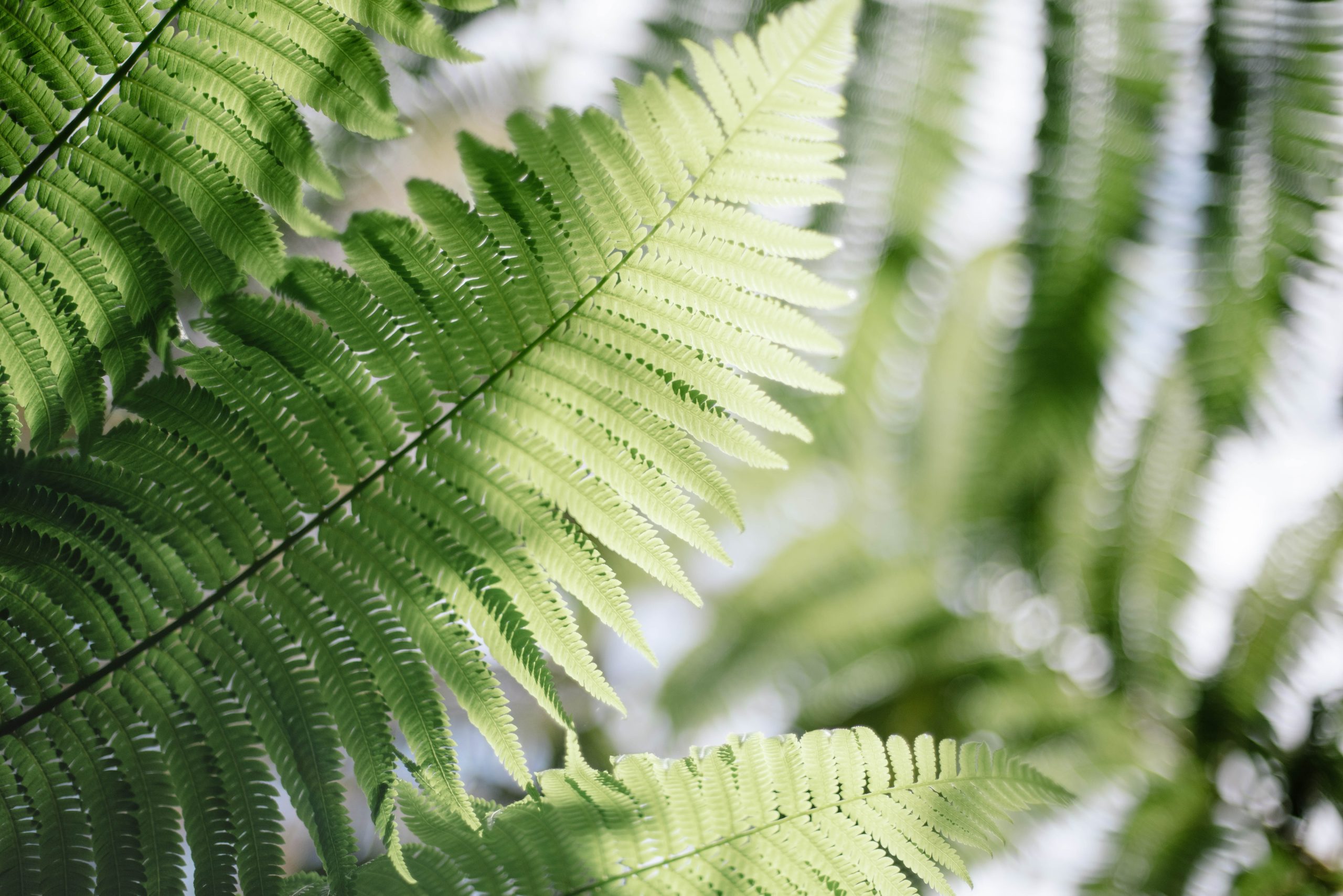 jack-cohen-vfmcy-dkvia-unsplash
