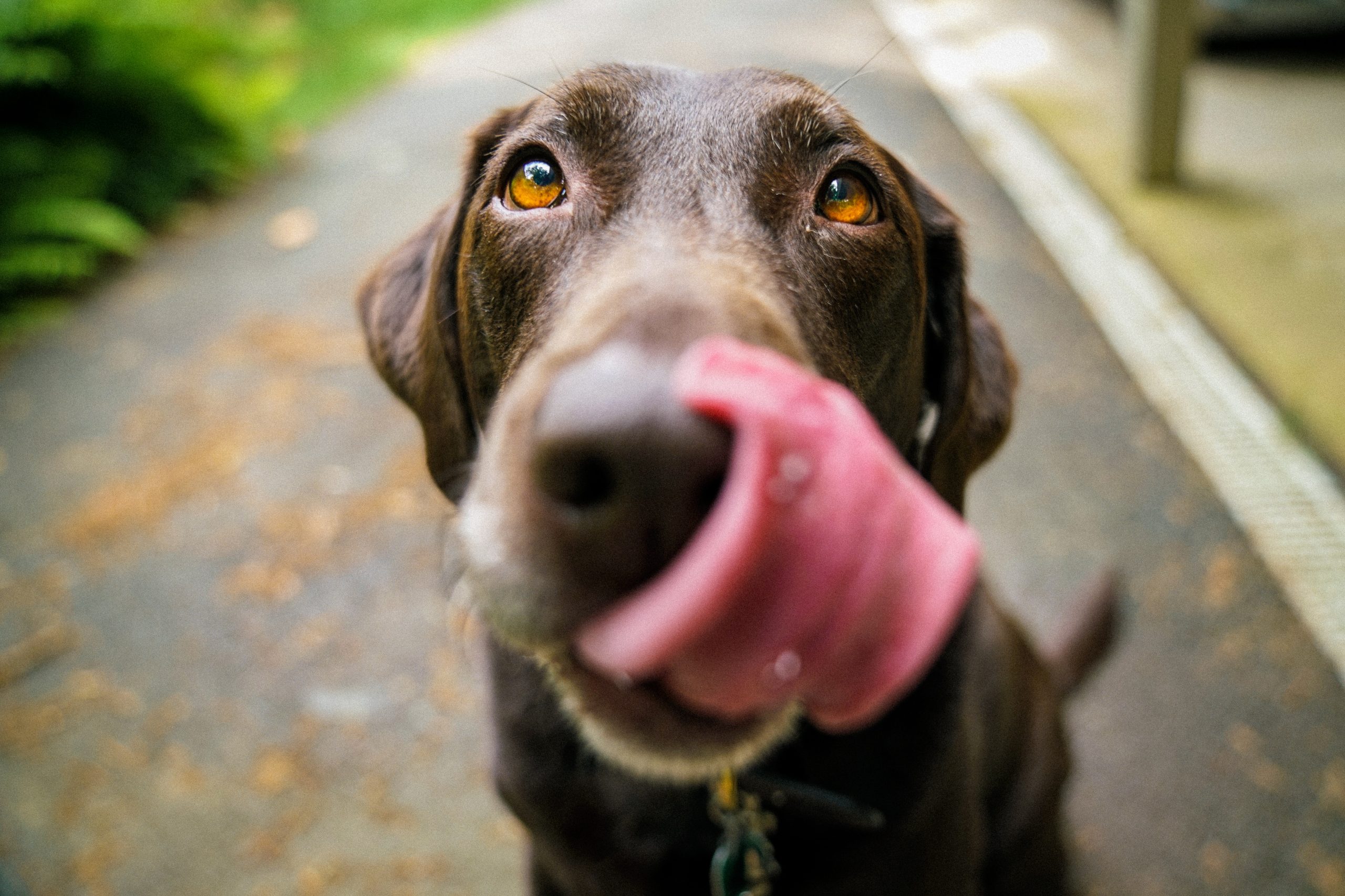 james-barker-v3-zccwmjgm-unsplash