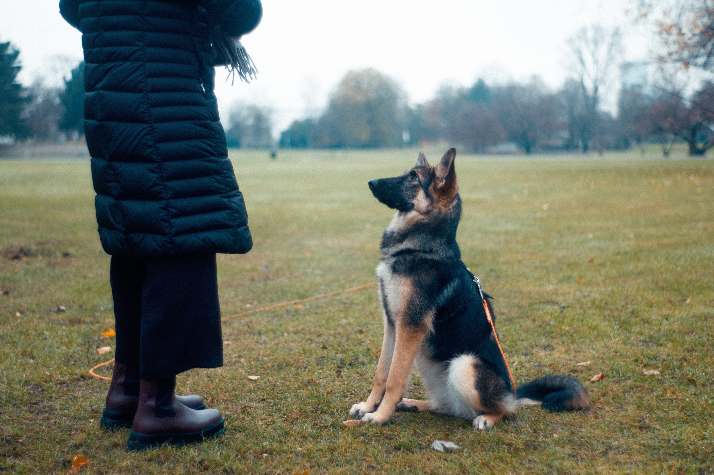 john-tuesday-5q7g1zwqvty-unsplash