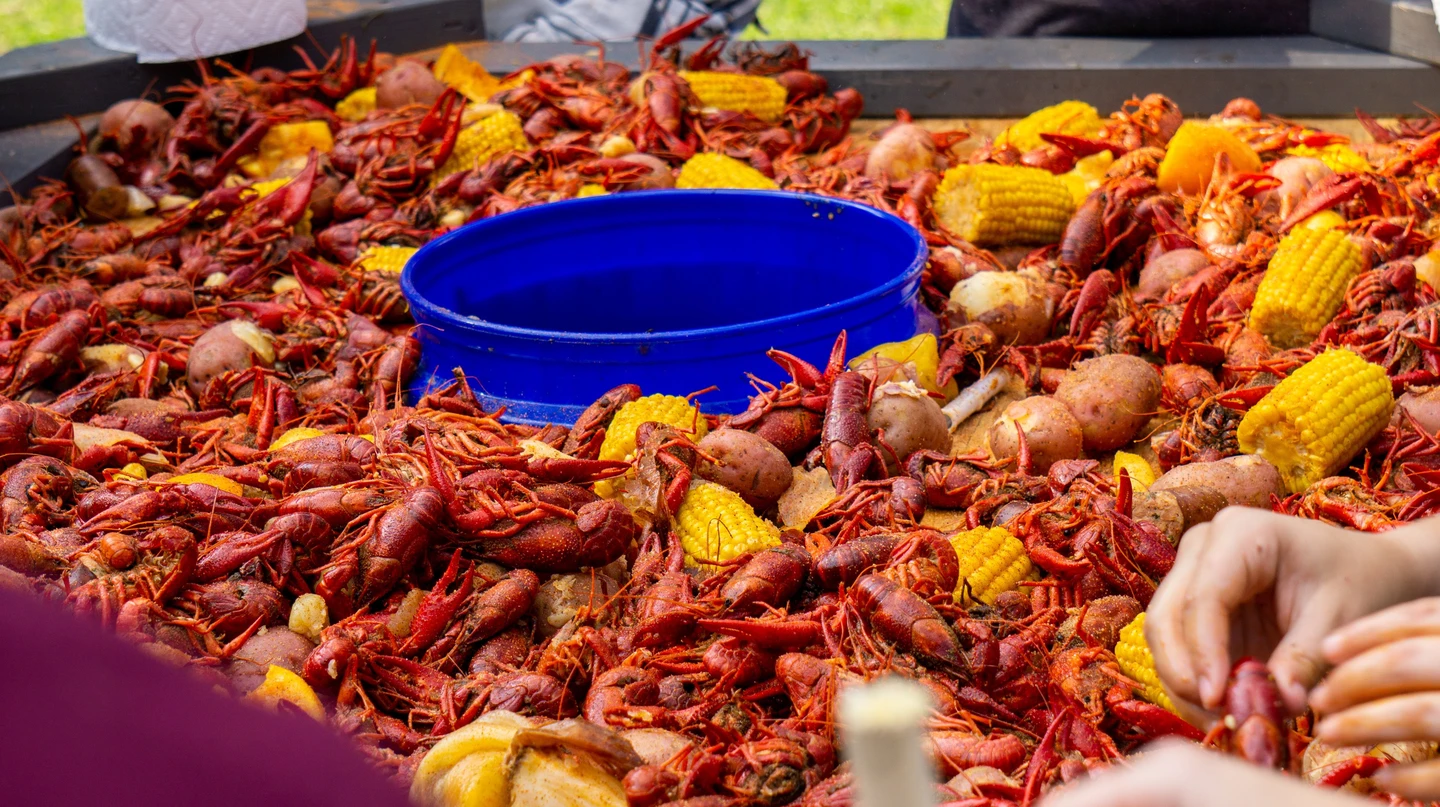 louisiana