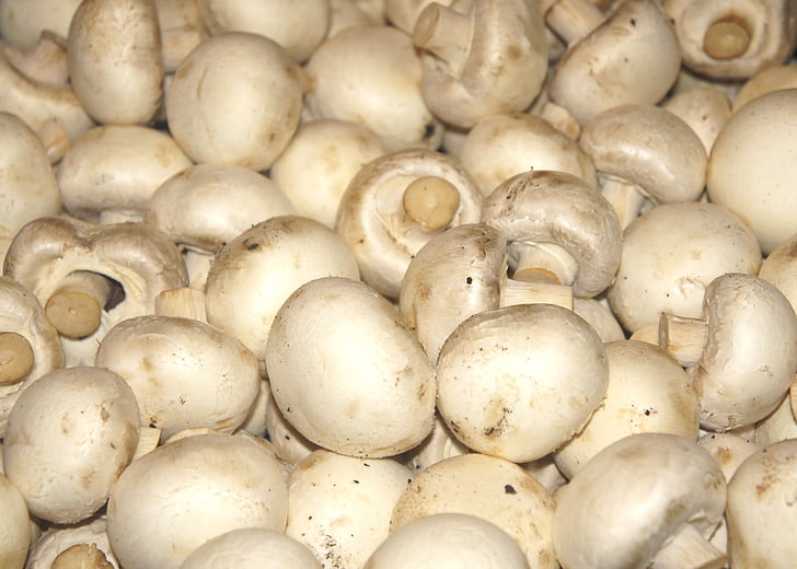 mushroom-vegetables-health-preview