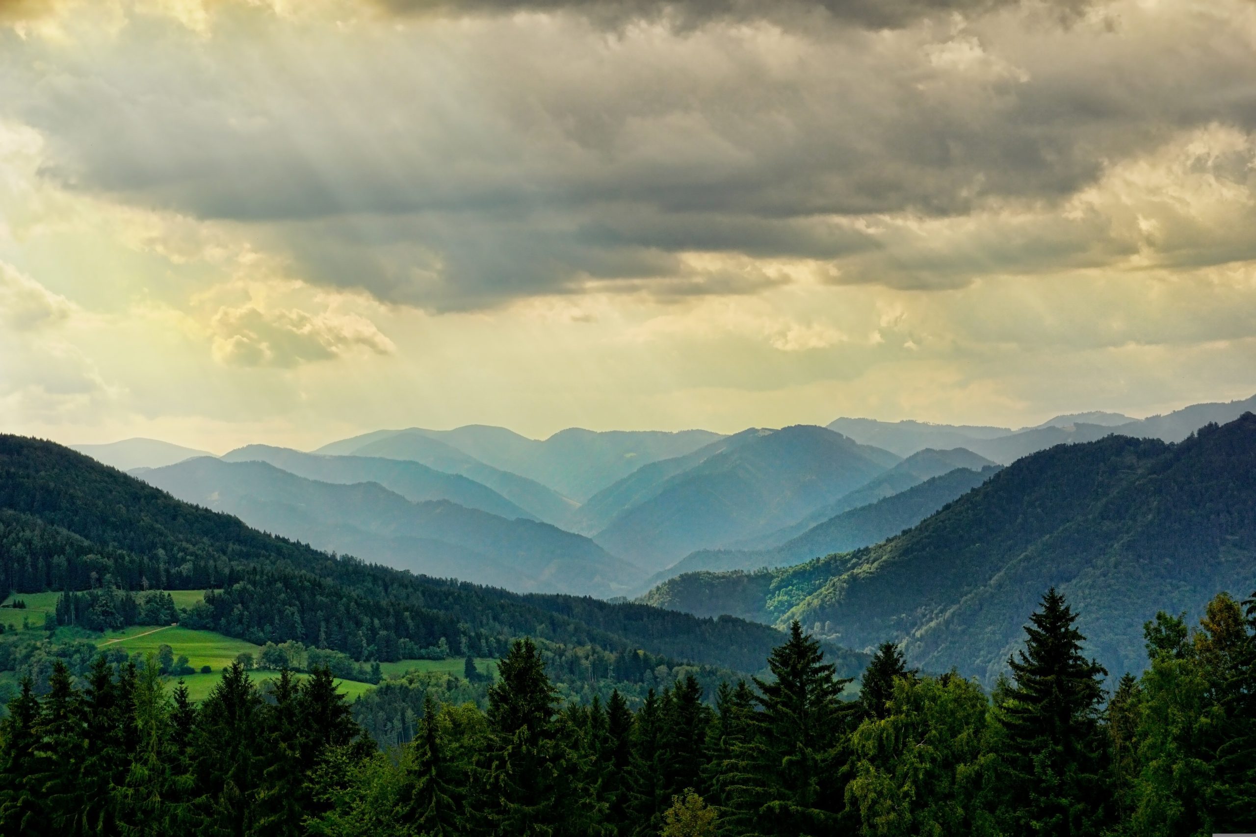 nature-3616194