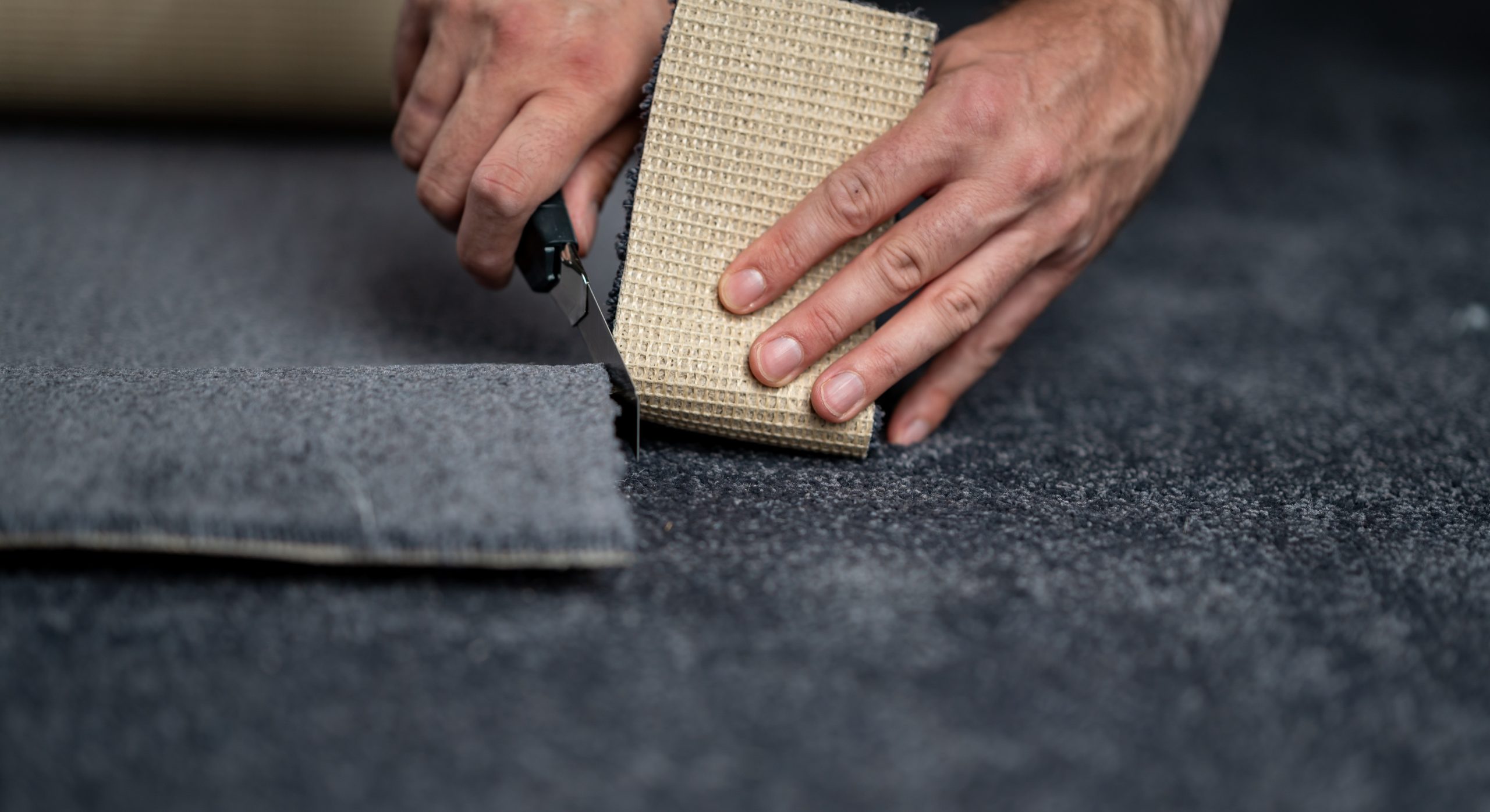 new-carpet-8132646