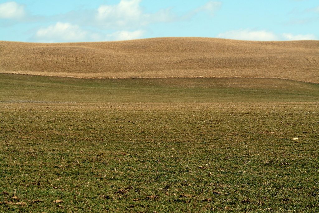 barren-land