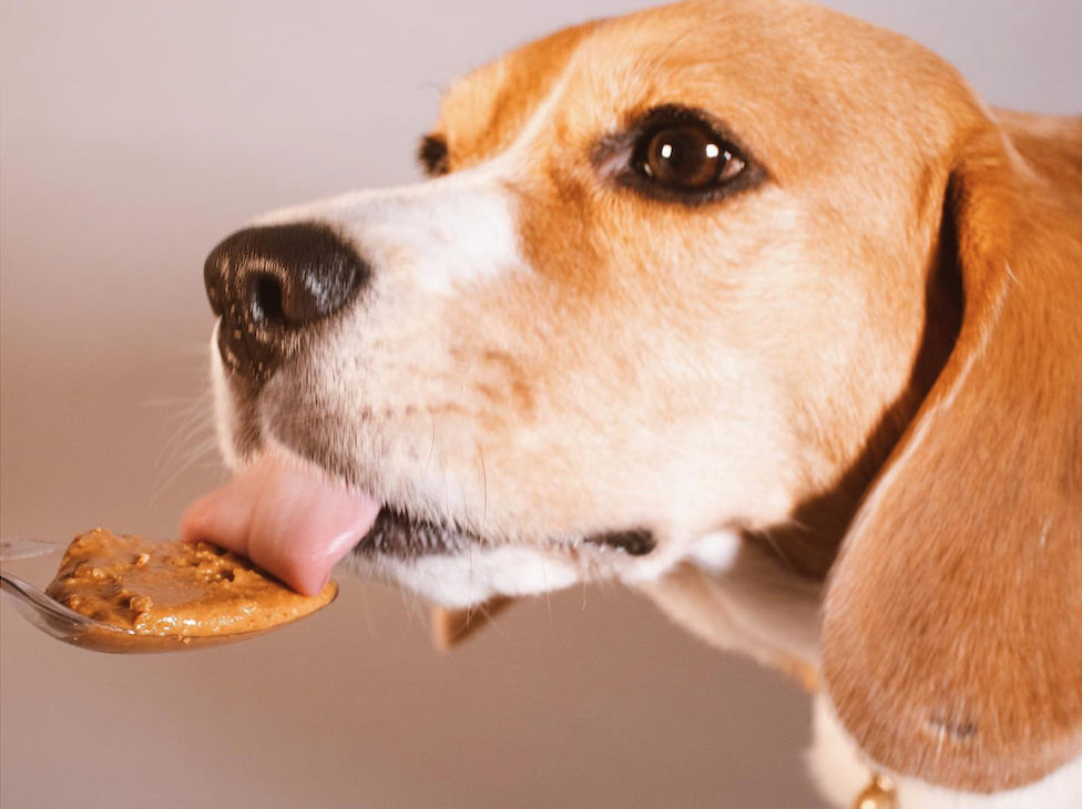 peanut-butter-good