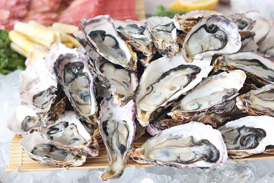 petrified-oyster-delicious-nutrition