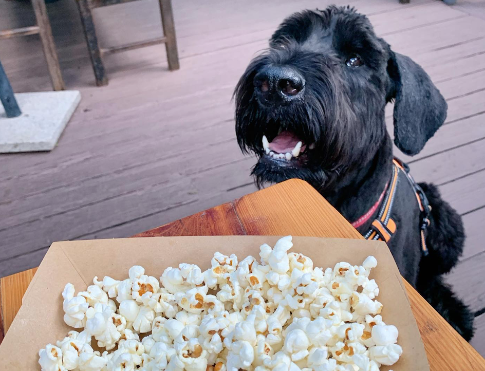 popcorn