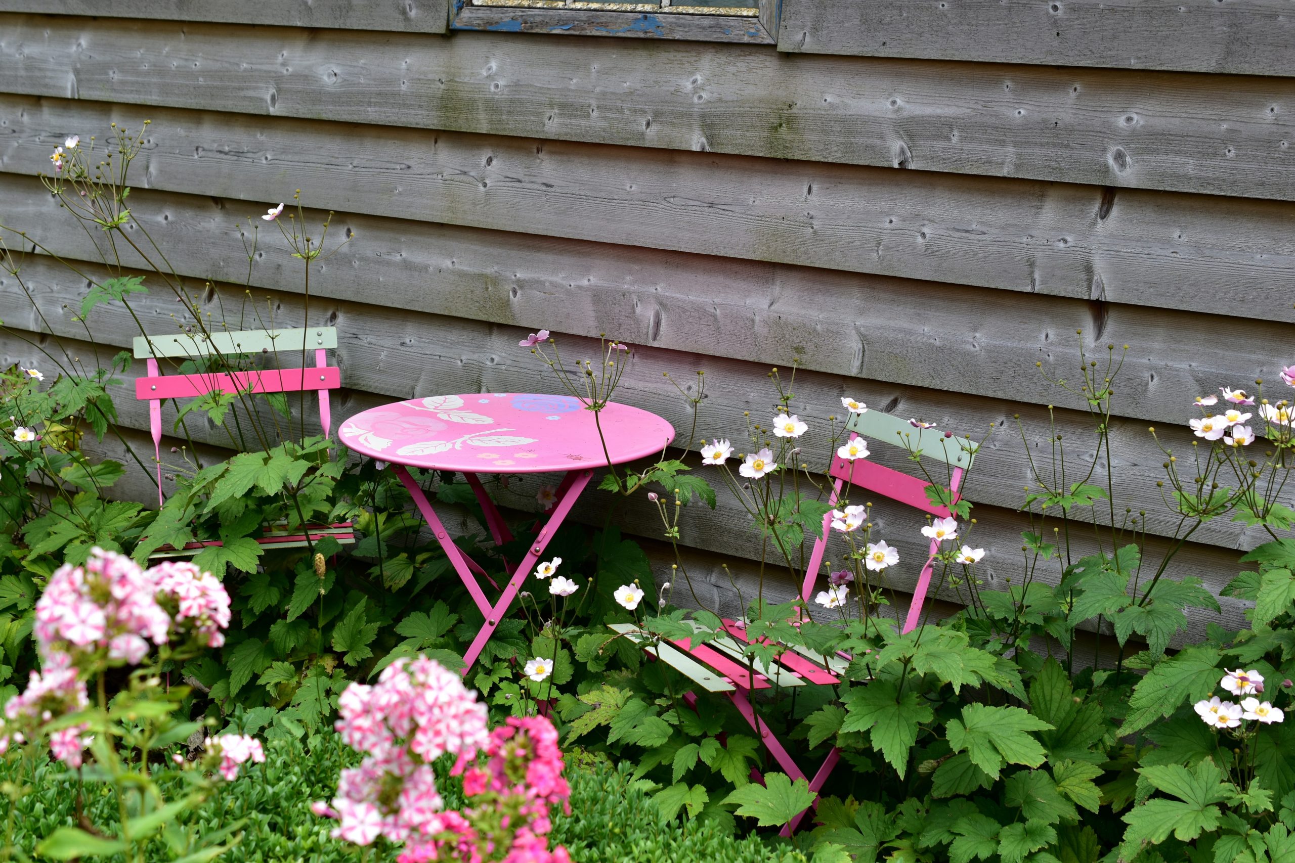 garden