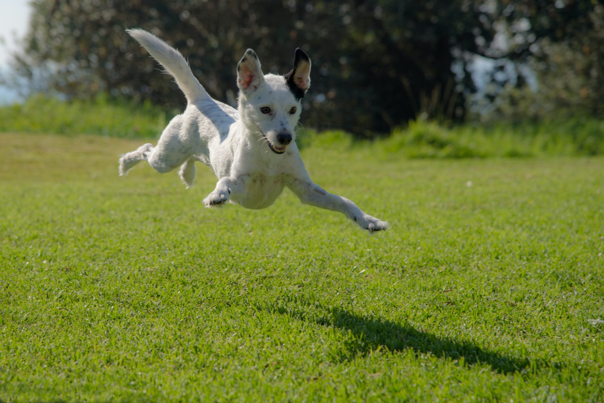 ron-fung-vqjxj4iau_o-unsplash