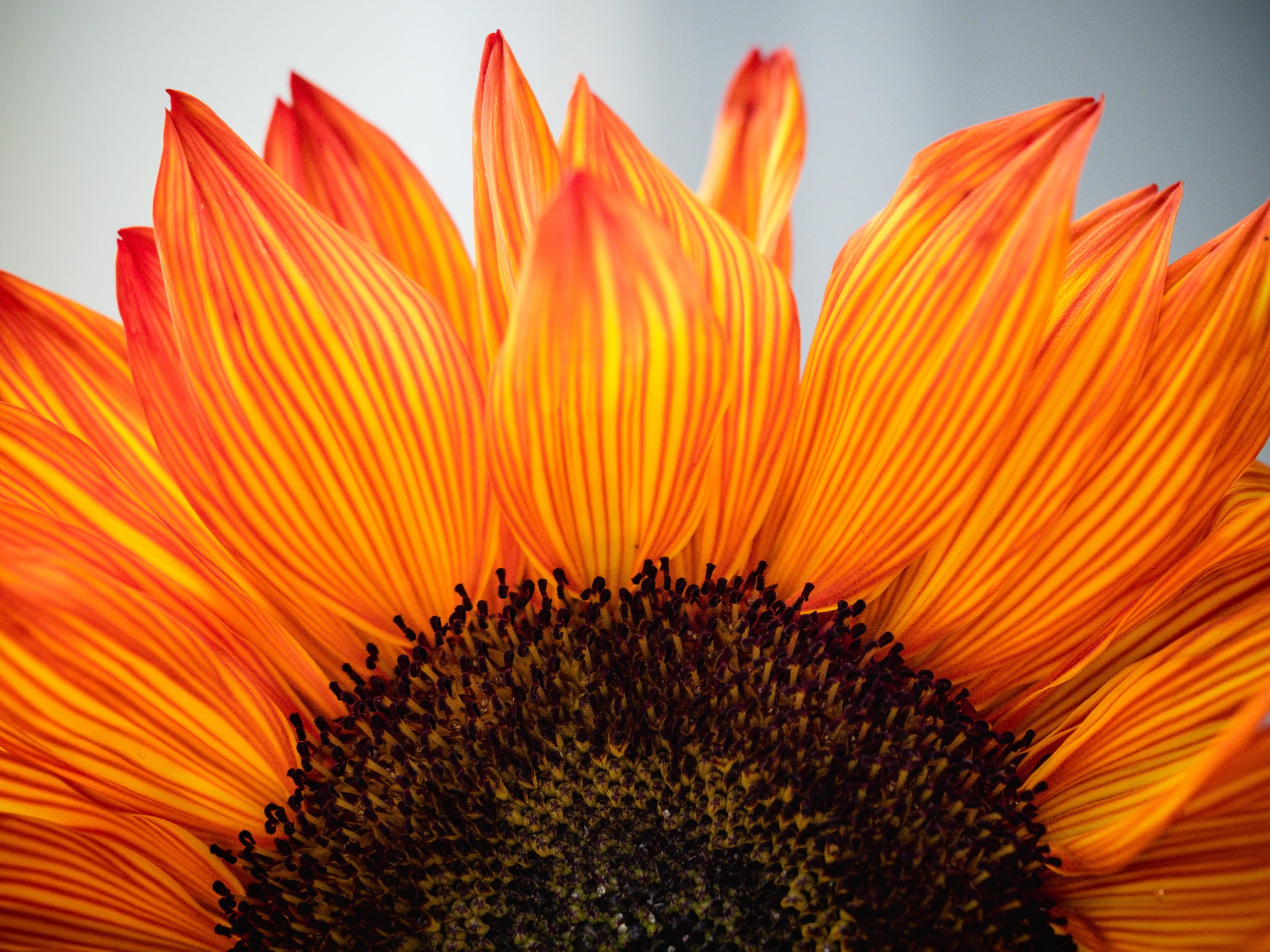 rosie-kerr-douudanwhjm-unsplash