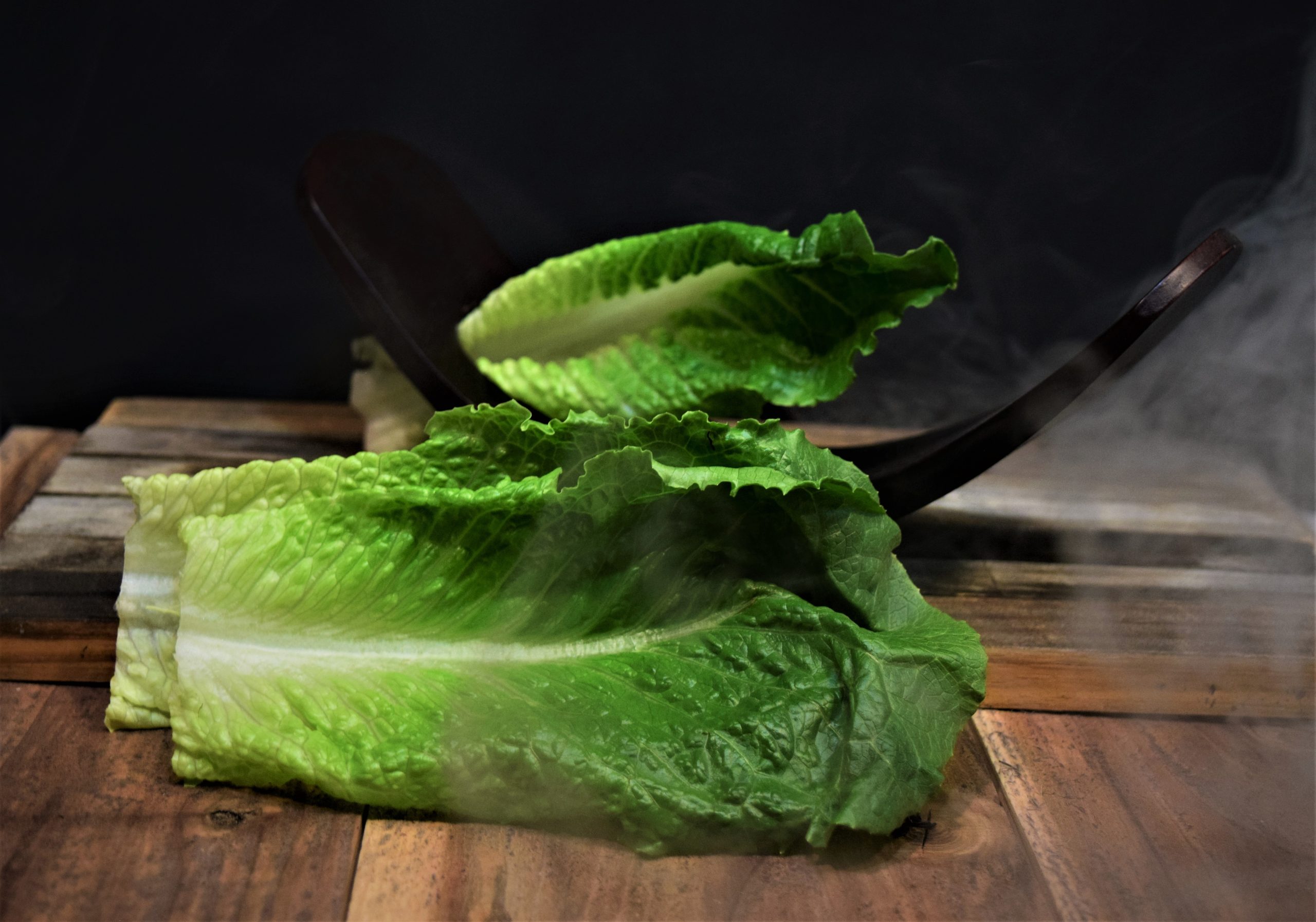 terry-jaskiw-cu8mdye4pg4-unsplash