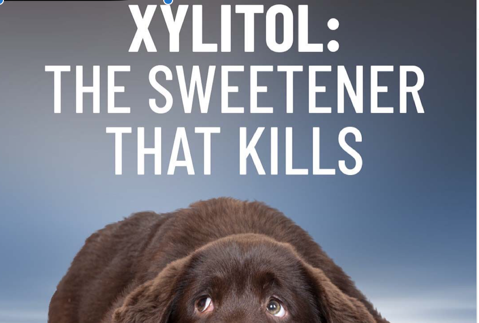 xylitol