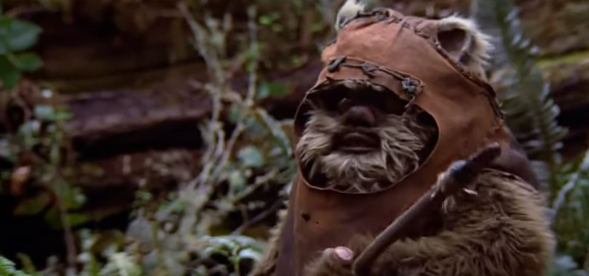 1098-star-wars-episode-vi-return-of-the-jedi-princess-leia-and-ewok-wicket-00-00-45