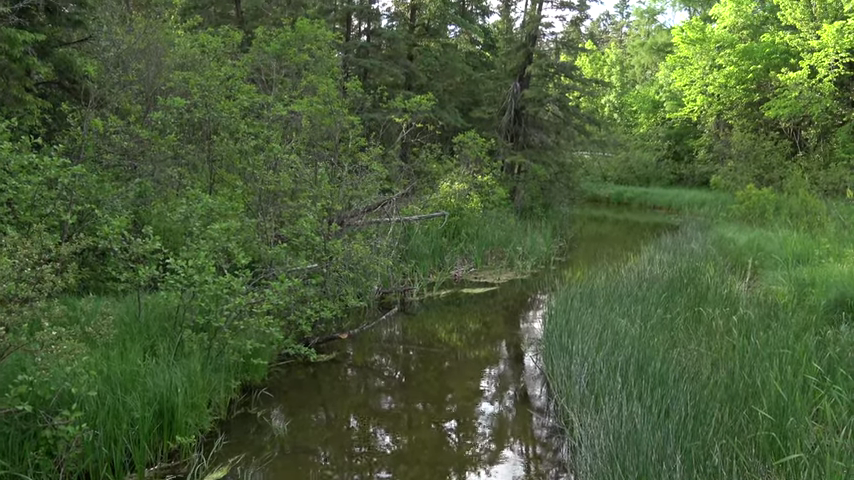 1120-where-does-the-mississippi-river-begin-lake-itasca-mn-4k-video-00-01-44