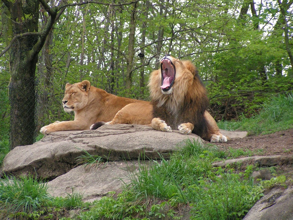 4-1