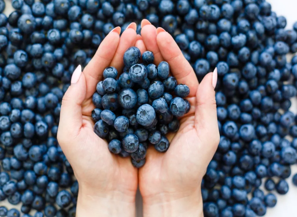 holding-blueberries