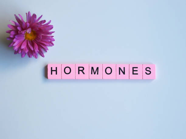 hormones-word-wooden-cubes-on-a-white-background