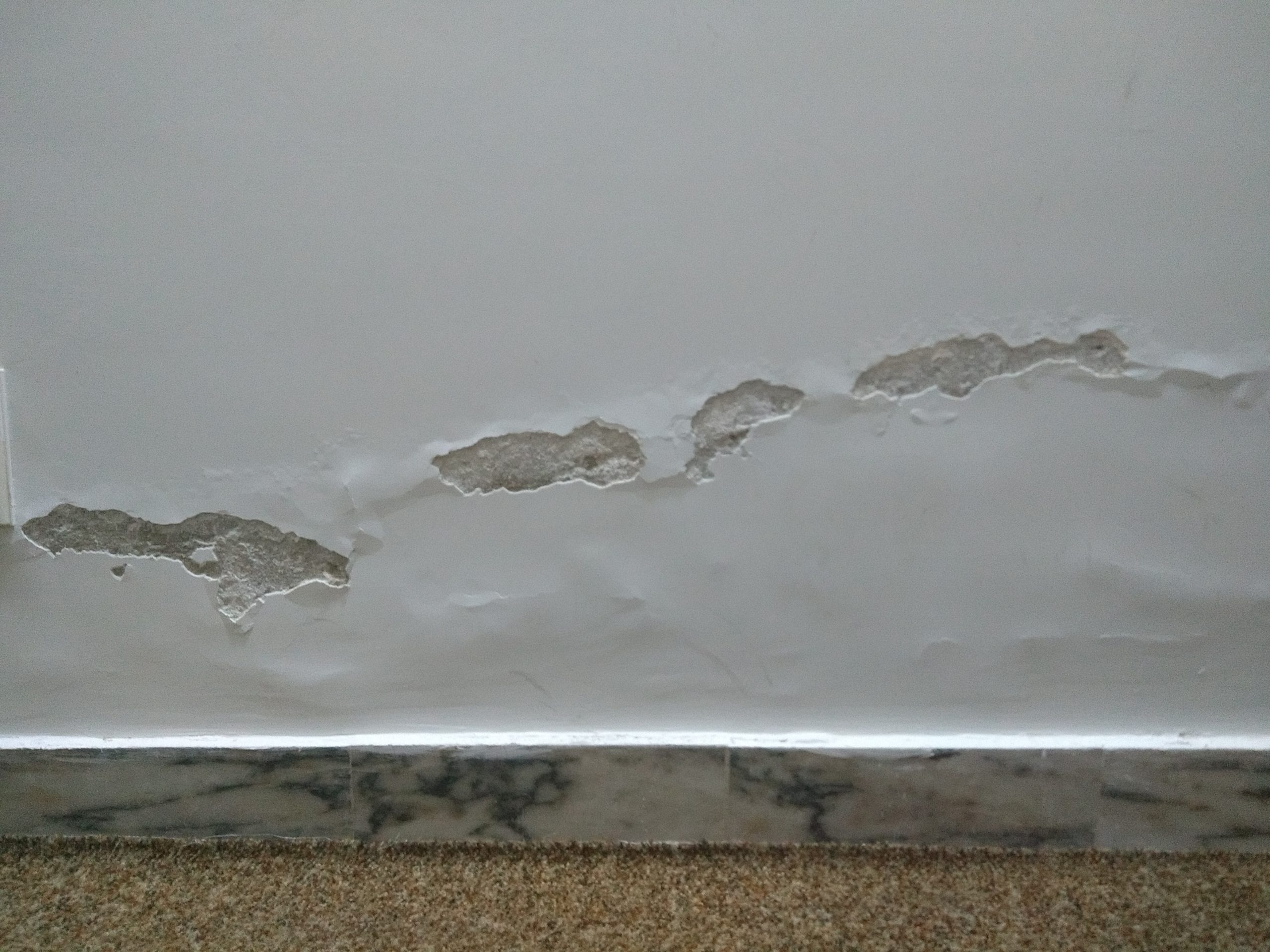 rising-damp