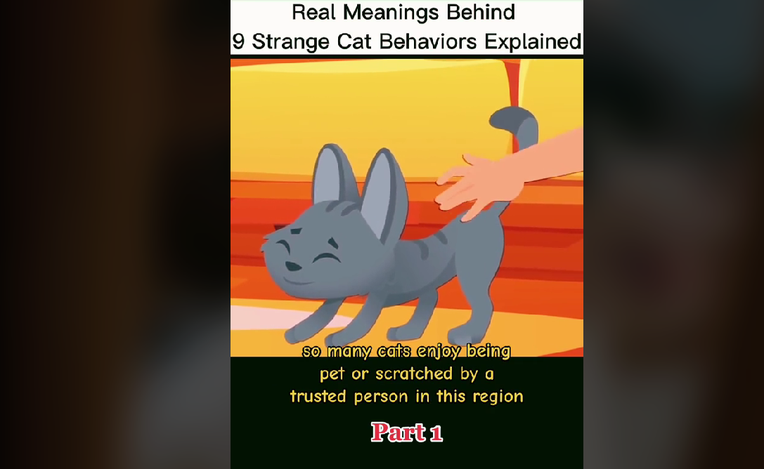 screenshot-724