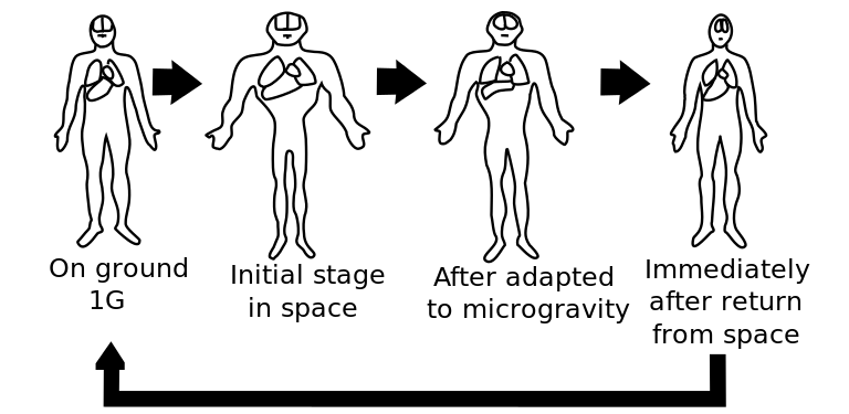 space_body_fluid-svg