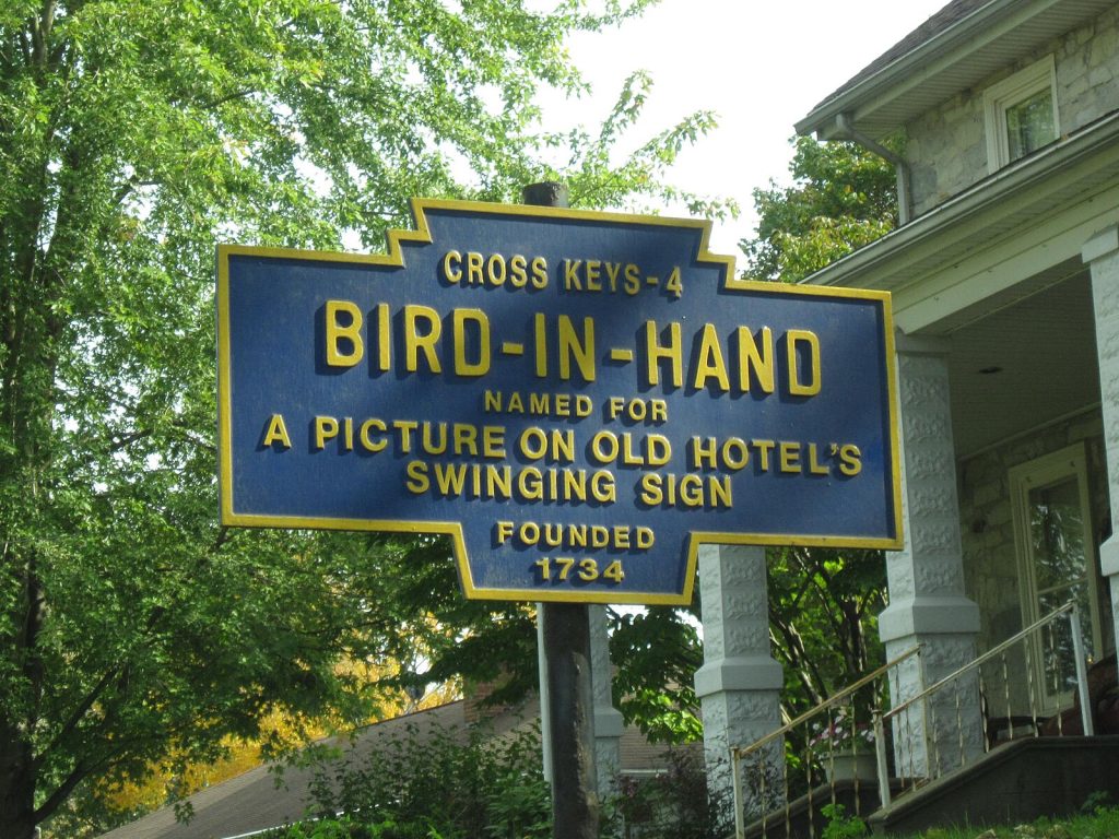 bird