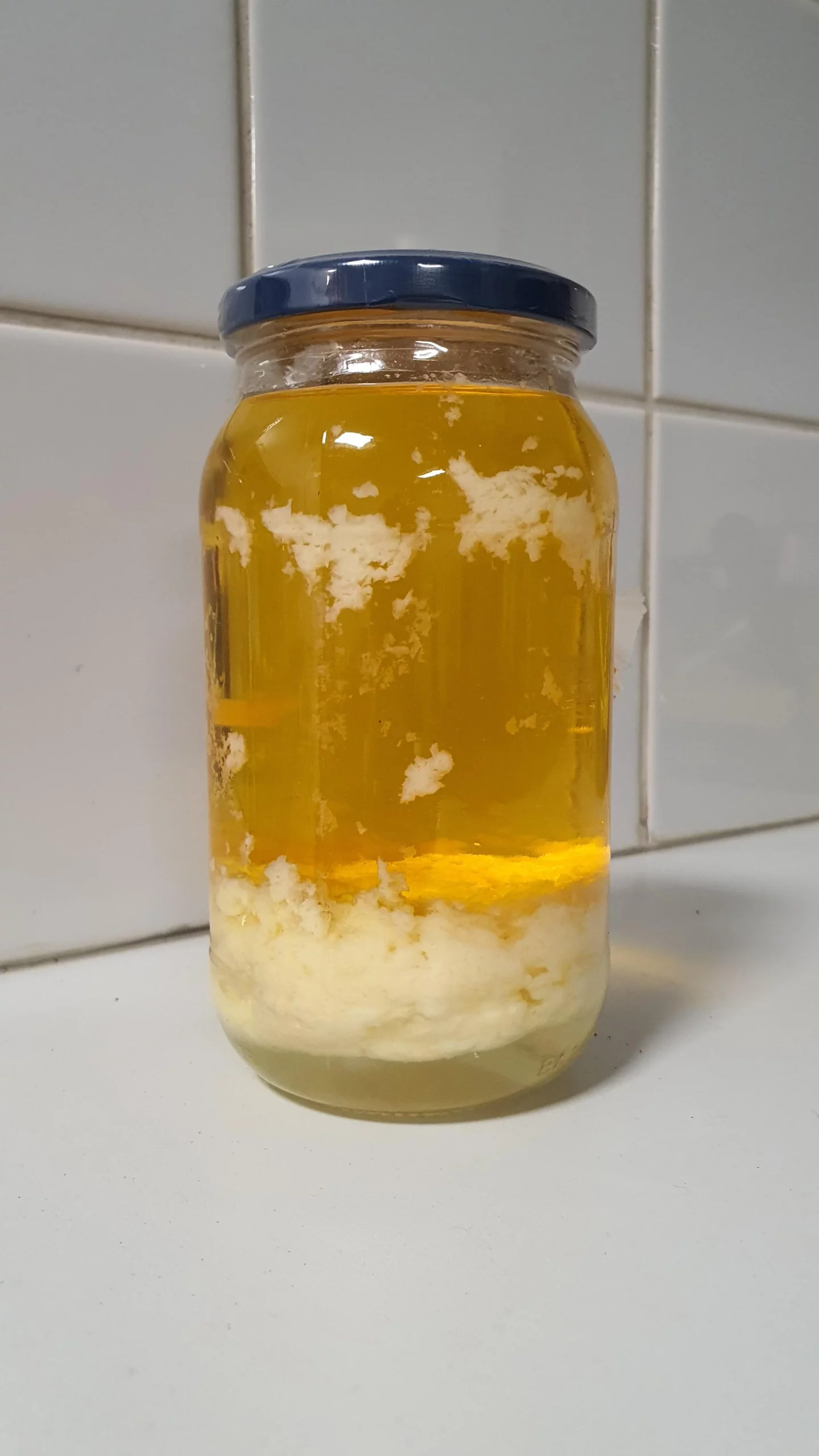 cas-1-scaled