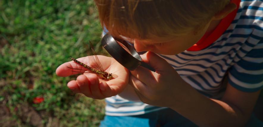 children-looking-at-bugs-in-the-garden